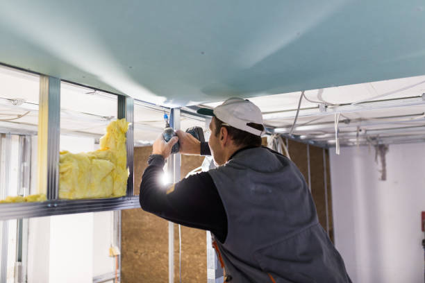 Best Commercial Insulation in Mendota, IL