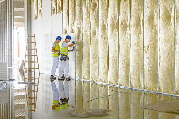 Best Insulation Installation Services in Mendota, IL